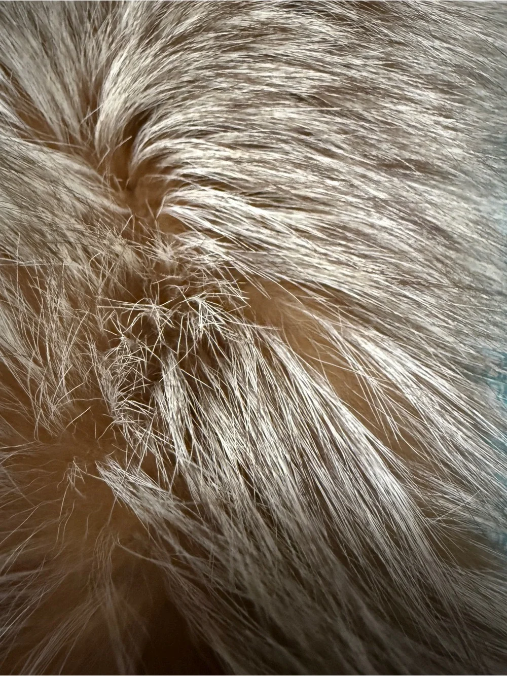 Julia & Stella Real Dyed Silver Fox Skins Fur Collar Scarf